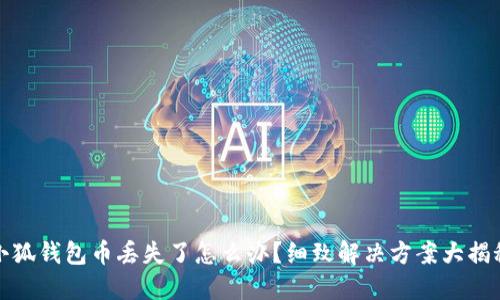 小狐錢包幣丟失了怎么辦？細致解決方案大揭秘