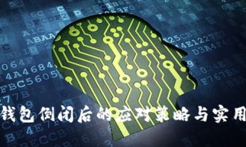 小狐錢包倒閉后的應(yīng)對策略與實用建議