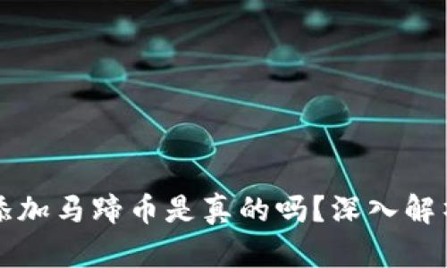 小狐錢(qián)包添加馬蹄幣是真的嗎？深入解析背后真相