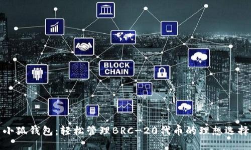 小狐錢(qián)包：輕松管理BRC-20代幣的理想選擇