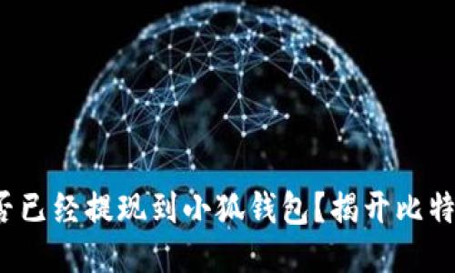 : 中本聰是否已經(jīng)提現(xiàn)到小狐錢包？揭開比特幣神秘面紗！