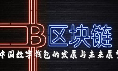 中國(guó)數(shù)字錢包的發(fā)展與未來展望
