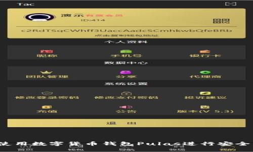 如何使用數(shù)字貨幣錢包Pulas進行安全交易？