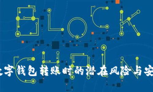 小心！數(shù)字錢包轉(zhuǎn)賬時的潛在風(fēng)險與安全措施