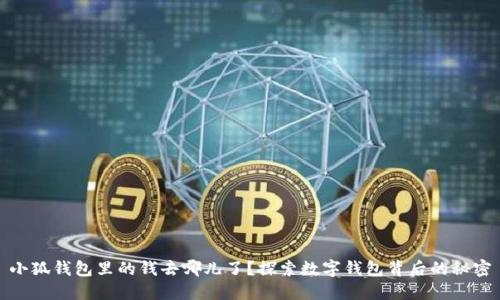 小狐錢包里的錢去哪兒了？探索數(shù)字錢包背后的秘密