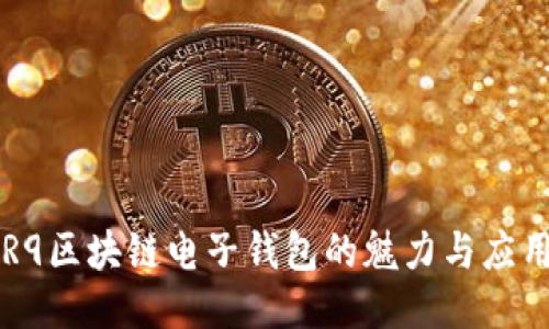R9區(qū)塊鏈電子錢包的魅力與應用