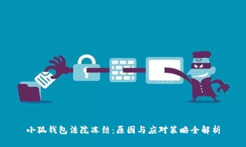 小狐錢包法院凍結(jié)：原因與應(yīng)對(duì)策略全解析