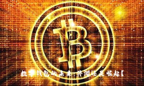 數(shù)字錢(qián)包的未來(lái)：停滯還是崛起？