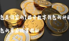 小狐錢包是誰家的？揭開