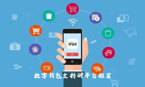 數字錢包支持的平臺推薦