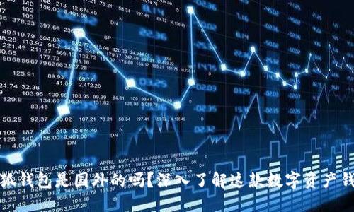 小狐錢包是國外的嗎？深入了解這款數(shù)字資產(chǎn)錢包