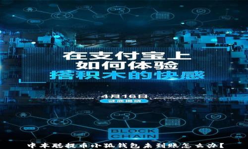 
中本聰提幣小狐錢包未到賬怎么辦？