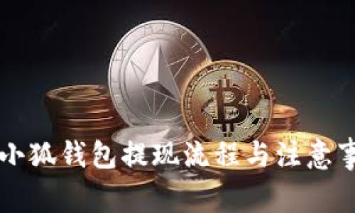 雷達(dá)幣小狐錢包提現(xiàn)流程與注意事項(xiàng)詳解