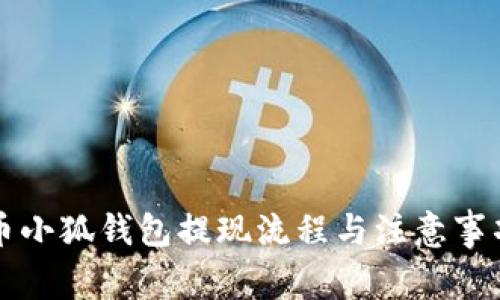 雷達(dá)幣小狐錢包提現(xiàn)流程與注意事項(xiàng)詳解