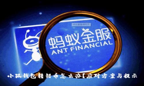 小狐錢包轉錯幣怎么辦？應對方案與提示