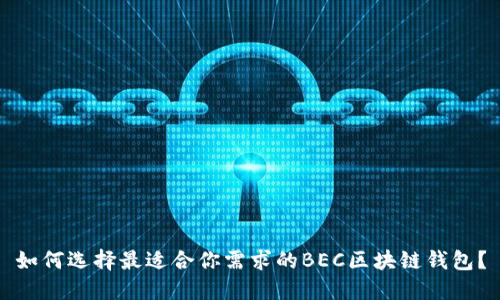 如何選擇最適合你需求的BEC區(qū)塊鏈錢包？