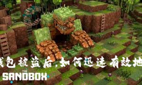 小狐錢包被盜后，如何迅速有效地處理？
