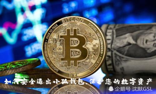 如何安全退出小狐錢(qián)包，保護(hù)您的數(shù)字資產(chǎn)