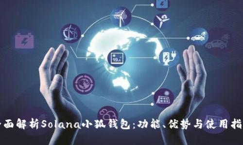 全面解析Solana小狐錢包：功能、優(yōu)勢與使用指南
