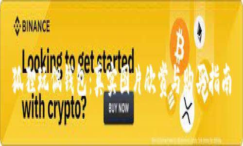 狐貍玩偶錢包:真實圖片欣賞與購買指南