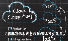 上海數(shù)字錢(qián)包消費(fèi)指南：