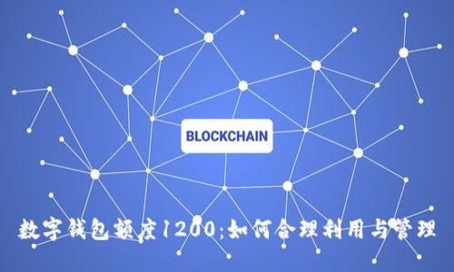 數(shù)字錢包額度1200：如何合理利用與管理