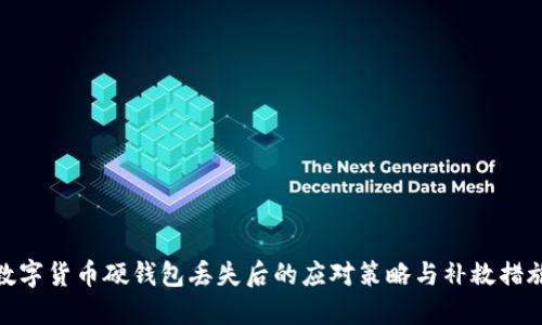 數(shù)字貨幣硬錢包丟失后的應對策略與補救措施