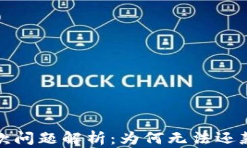 
數(shù)字錢包還款問題解析：為何無法還款及解決方案