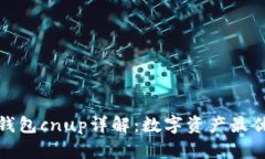 小狐錢包cnup詳解：數(shù)字資