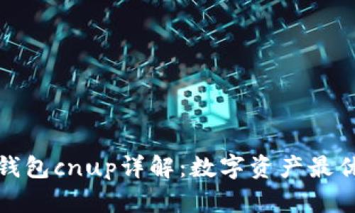 小狐錢包cnup詳解：數(shù)字資產(chǎn)最優(yōu)選擇